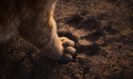 Watch the first teaser for the nostalgia inducing live-action adaptation of The Lion King!